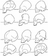 Set-of-representative-cranial-profiles-from-the-site-of-Cuicuilco-Mexico-City-Adapted.png