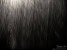 rain 2.jpg