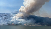 Screenshot 2023-07-04 at 10-03-06 Tunnel Five Fire burns 546 acres of Columbia Gorge in SW Was...png