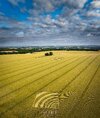 CropCircle4thJuly2023_2_1.jpeg