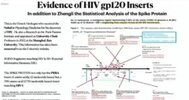 Evidence of HIV gp120 Inserts.jpg