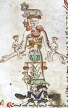 Medical_Zodiac-Man_(detail).jpg