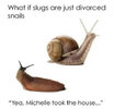 slugs.jpg