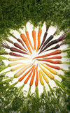 Carrots_of_many_colors(rs).jpg