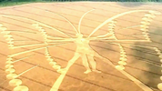 1699723030182.png