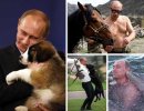 putin_animals_main.jpg