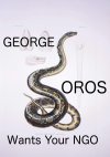 GS want your NGO.jpg