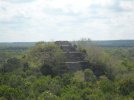 Structure 1 Calakmul.jpg