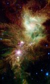 1200px-NGC_2264.jpg