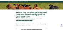 Screenshot 2024-01-28 at 03-02-48 Winter hay supplies getting low Consider limit-feeding grain...png