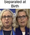 democrats-separated-at-birth-liz-cheney.jpg