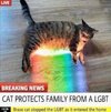 Cat protects family from LGBT