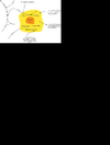 Simplified chemical reaction scheme of the generation of chlorine radicals by iron salt aerosols.png