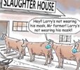 Hey !! Larry's not wearing his mask, Mr farmer! Larry's not wearing his mask !!  Slaughter House