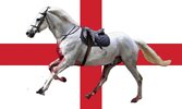 English flag with white horse.jpg