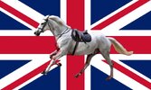 British flag with white horse.jpg
