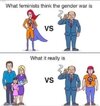 Feminists gender war.jpg
