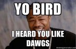 Yo Bird I heard you like Dawgs.jpg