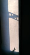 P_20170528_060637_vHDR_Auto.jpg