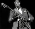 Albert+King+by+Dave+Glass+PNG.png