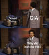 cia_did_it.jpg