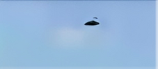 trump_ufo_drone_4_47_03_cln.png