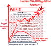 Missing-411-DNA_Upregulation_Diagram.png