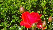 20170715_115802_HDR~2.jpg
