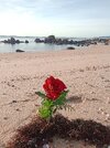 IMG_20250112_103345_019.jpg