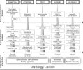 Distortions of the Life Force in Each of the Five Adaptive Survival Styles.jpg