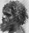 Workii_tribe_of_Gilbert_River_Australoid.png