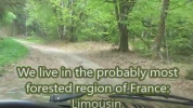 Capture Limousin two.PNG