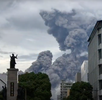SakuRajima.png