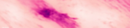 1749795438083.png
