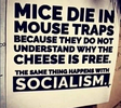 1751104640965.png