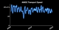 AMOC transport speed 2004-2024