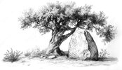Witness stone of Joshua.jpg