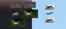 utah1.png