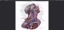FireShot Capture 253 - 241.biblioteka.pdf - .png