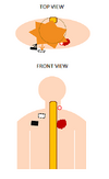 KIRK DIAGRAM.png