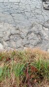 IMG_20251004_163958.jpg
