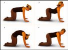 cat camel.PNG