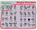 gender.jpg