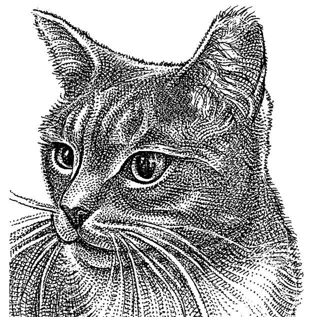 B3-GN529_cat_8S_20200417102834.jpg