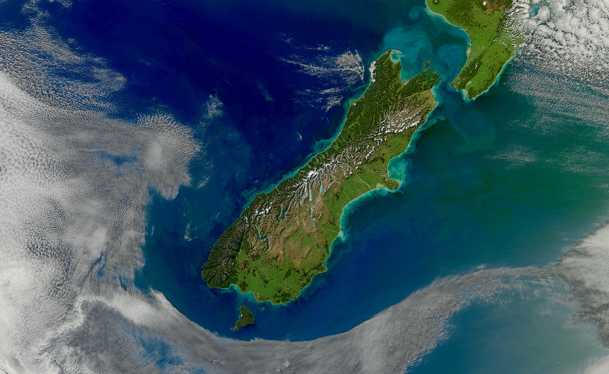 af8.org.nz
