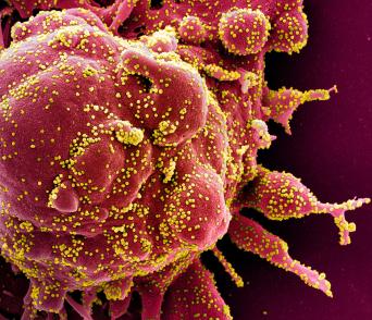 dnascience.plos.org