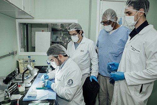 Researchers from UFRJ conducting studies on laminin repolymerization