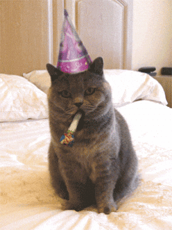 Animated GIF