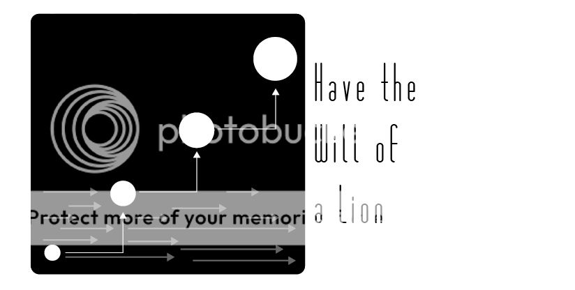 HavetheWillofaLion.jpg