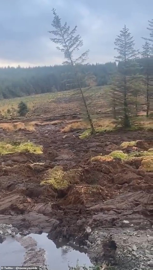 An investigation has now been launched into how the incident occurred in the first place